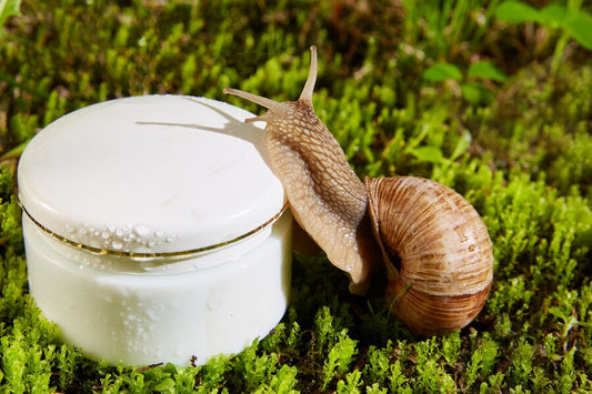 The Power of Snail Mucin: Why You Need It in Your Skincare Routine